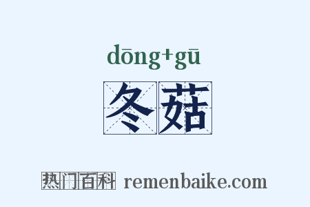 冬菇是什么意思的图片